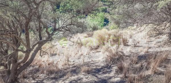 Terreno en camino del Barranco Fernández