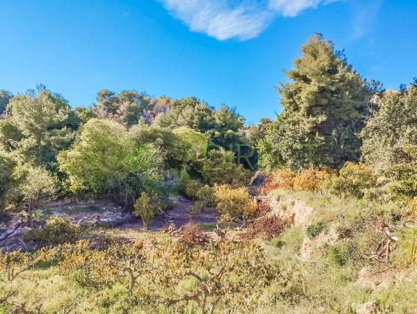 Terreno en Frigiliana