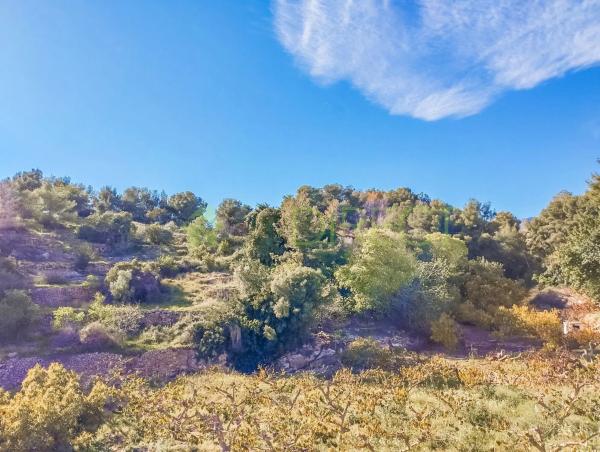 Terreno en Frigiliana