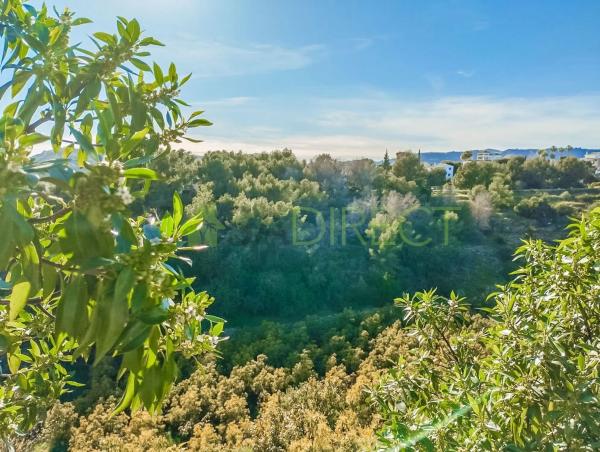 Terreno en Frigiliana