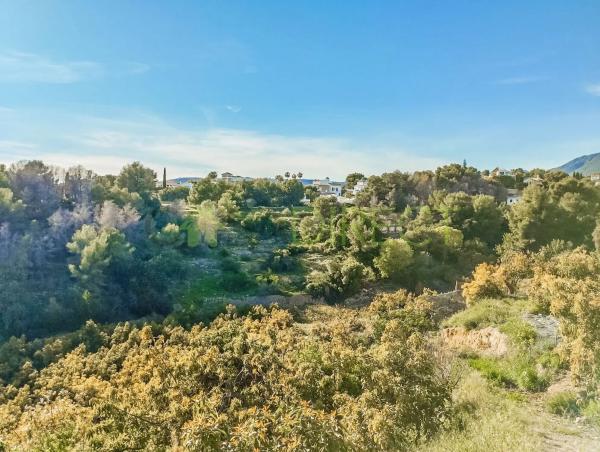 Terreno en Frigiliana