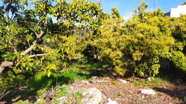 Terreno en Frigiliana