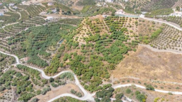 Terreno en camino de la Loma de Minaya, 1
