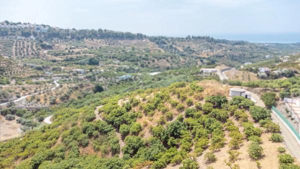 Terreno en camino de la Loma de Minaya, 1
