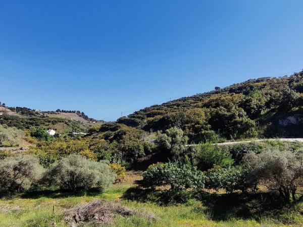 Terreno en Frigiliana