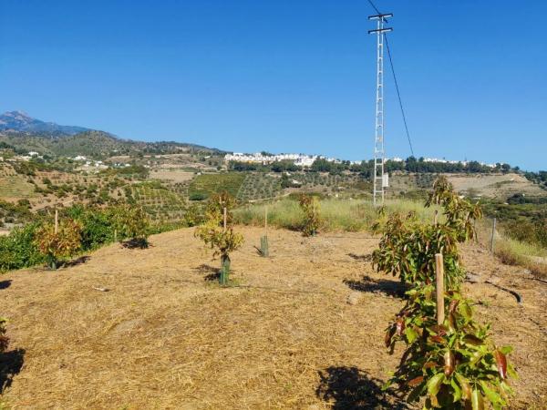 Terreno en Frigiliana