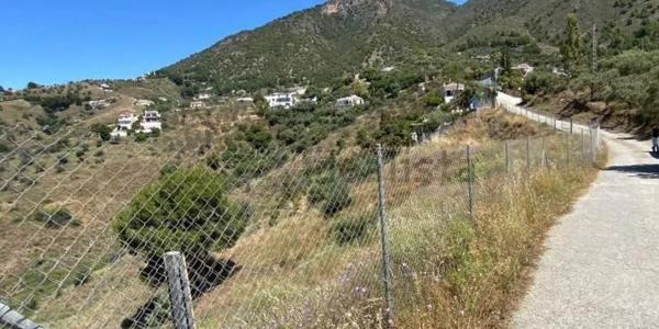 Terreno en camino de la Cruz