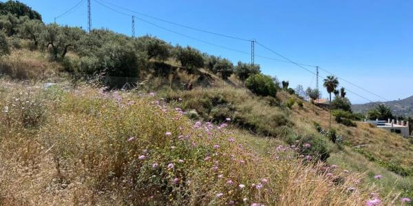 Terreno en camino de la Cruz