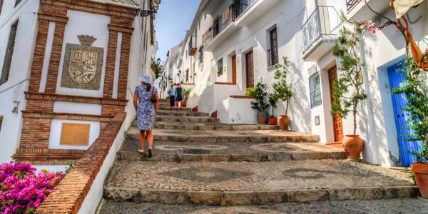 Terreno en camino de la Cruz