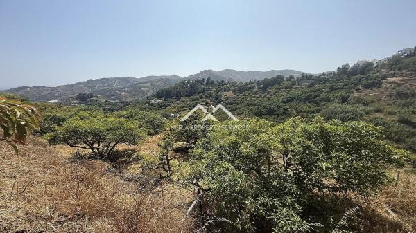 Terreno en Frigiliana