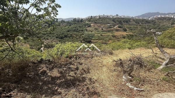 Terreno en Frigiliana
