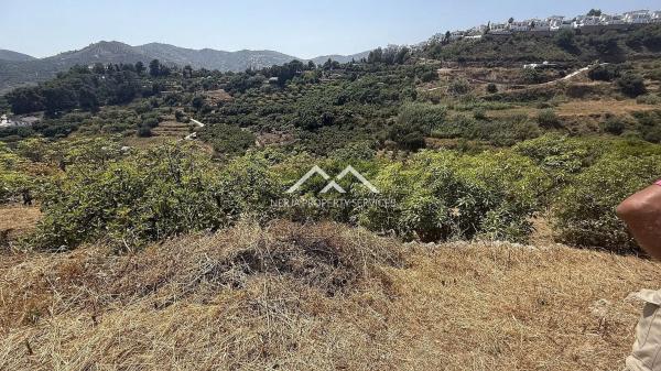 Terreno en Frigiliana