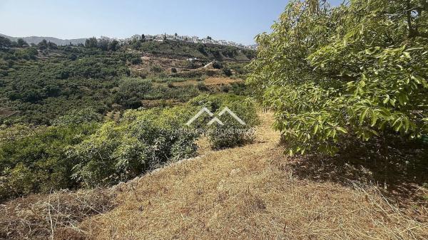 Terreno en Frigiliana