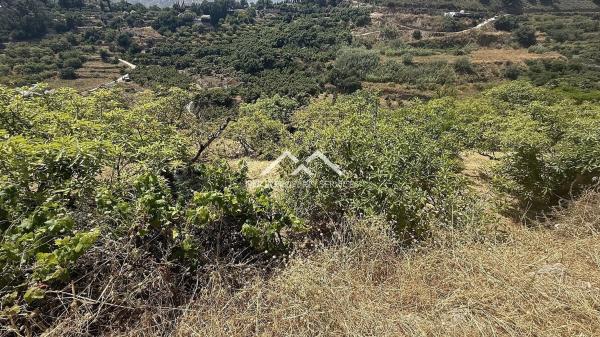 Terreno en Frigiliana