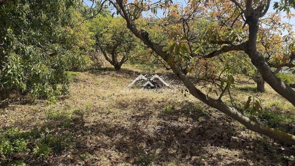 Terreno en Frigiliana