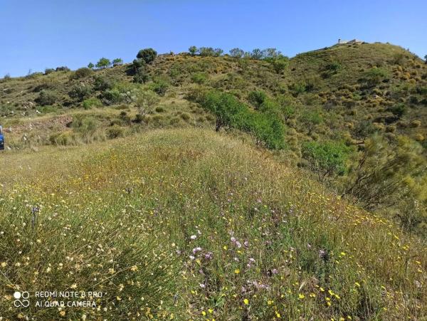 Terreno en Macharaviaya