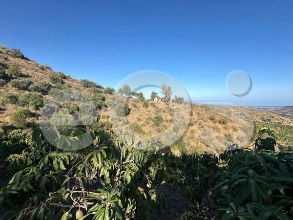 Terreno en Diseminado Diseminados