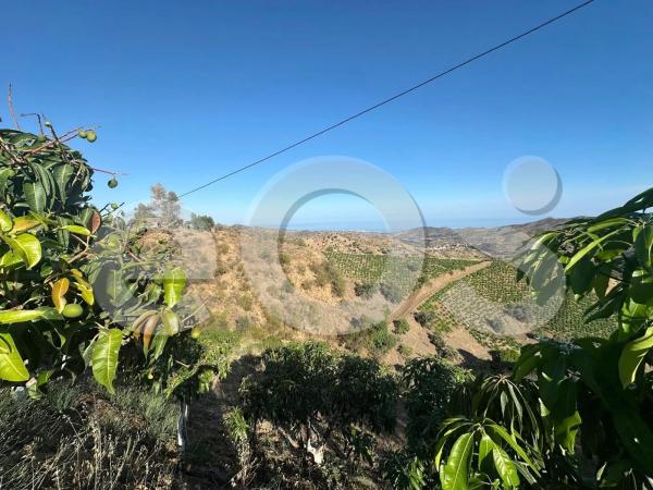 Terreno en Diseminado Diseminados