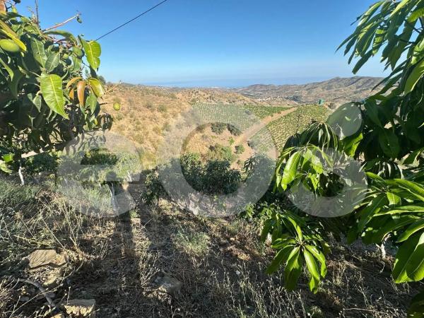 Terreno en Diseminado Diseminados