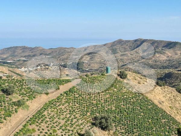 Terreno en Diseminado Diseminados