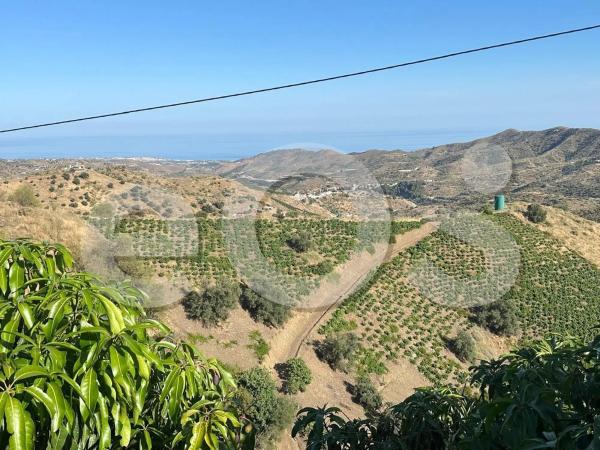 Terreno en Diseminado Diseminados