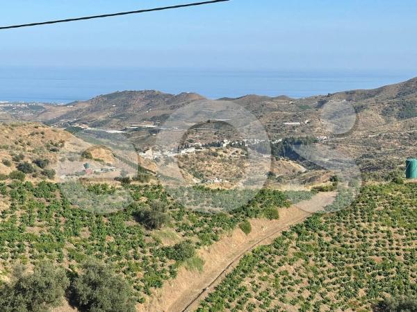 Terreno en Diseminado Diseminados