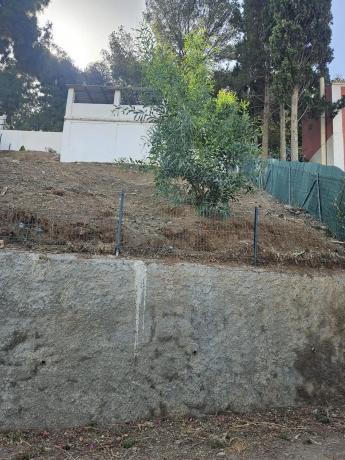 Terreno en calle Osa Mayor, 8