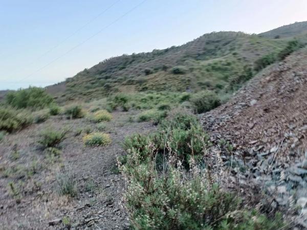 Terreno en Moclinejo