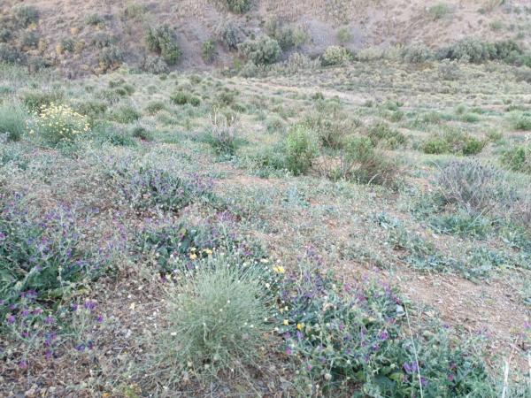 Terreno en Moclinejo