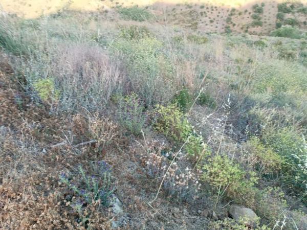 Terreno en Moclinejo