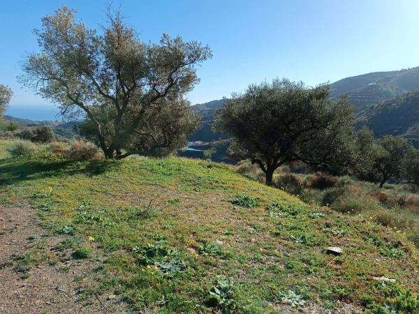 Terreno en Moclinejo