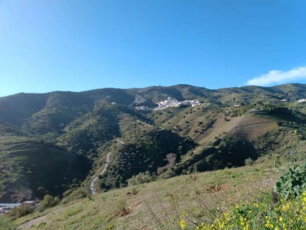 Terreno en Moclinejo