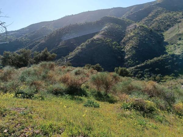 Terreno en Moclinejo