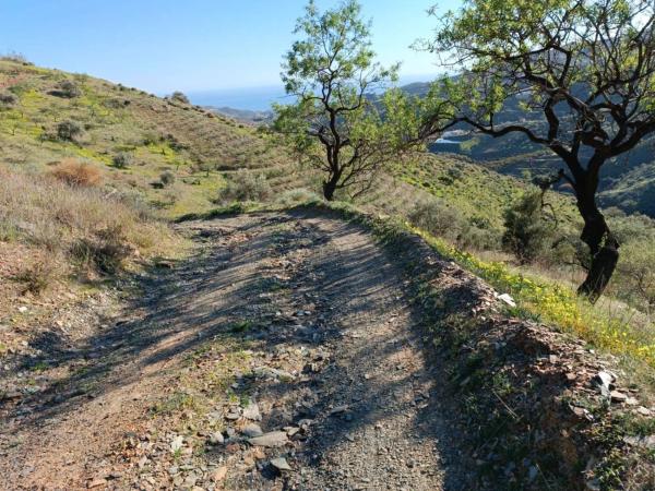 Terreno en Moclinejo