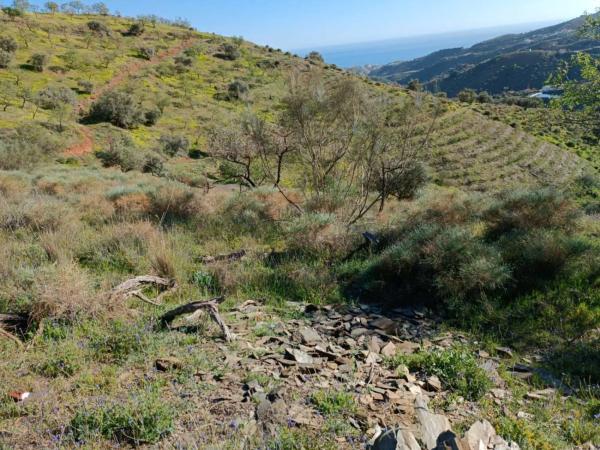 Terreno en Moclinejo