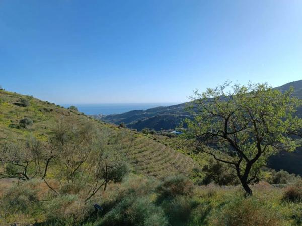 Terreno en Moclinejo