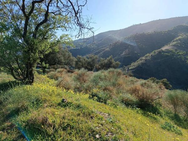 Terreno en Moclinejo