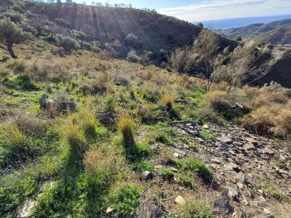 Terreno en Moclinejo