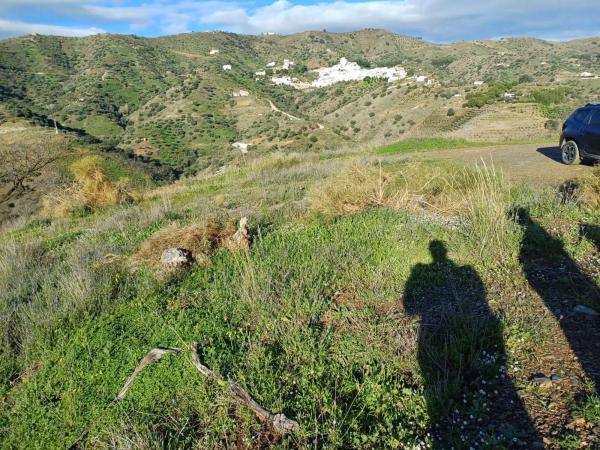 Terreno en Moclinejo