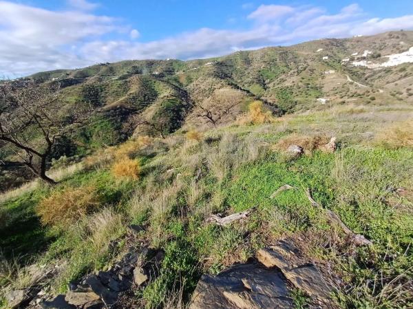 Terreno en Moclinejo