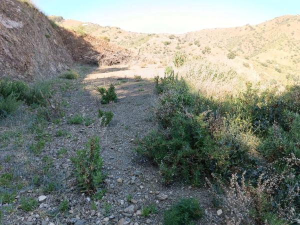 Terreno en Moclinejo