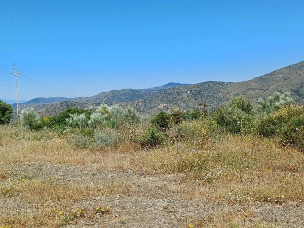 Terreno en Moclinejo