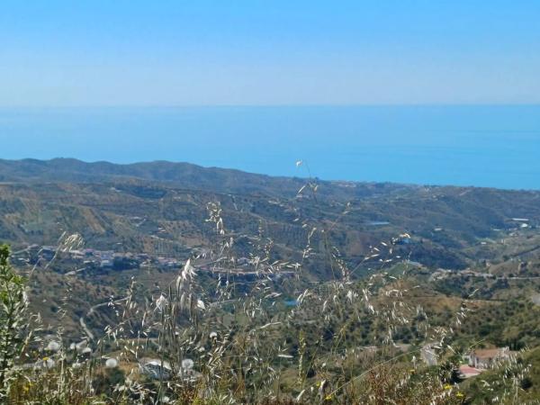 Terreno en Moclinejo