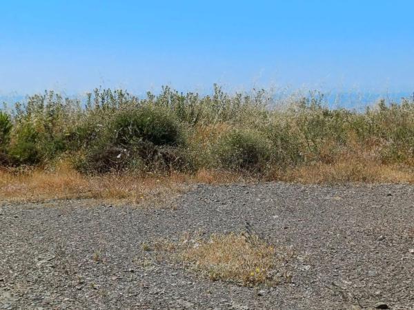 Terreno en Moclinejo