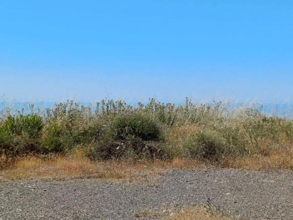 Terreno en Moclinejo