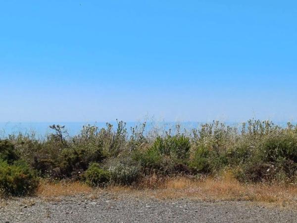 Terreno en Moclinejo