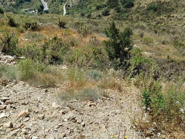 Terreno en Moclinejo