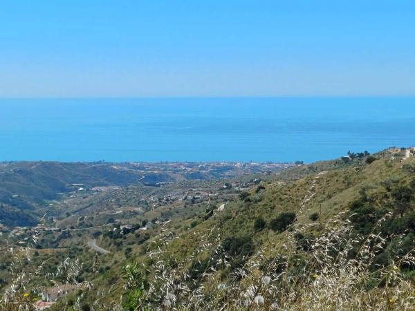 Terreno en Moclinejo