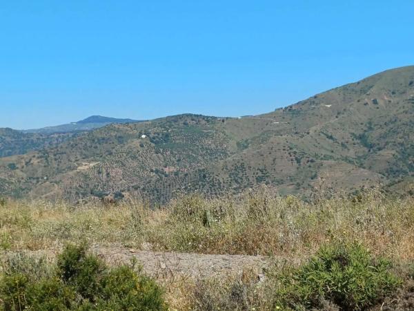 Terreno en Moclinejo