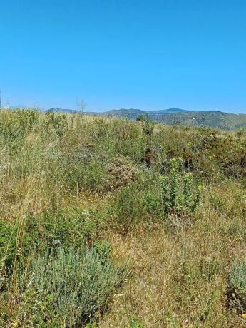 Terreno en Moclinejo